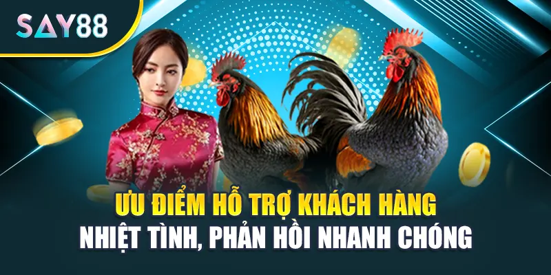 Ưu điểm hỗ trợ khách hàng nhiệt tình, phản hồi nhanh chóng